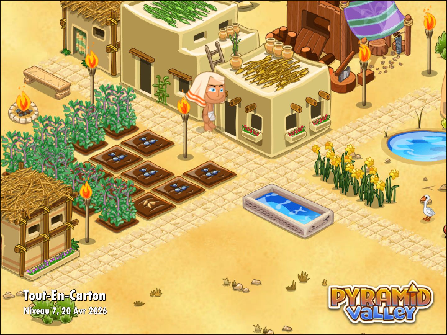 Community screenshot shared by MsieurGamer on PyramidValley: Reborn