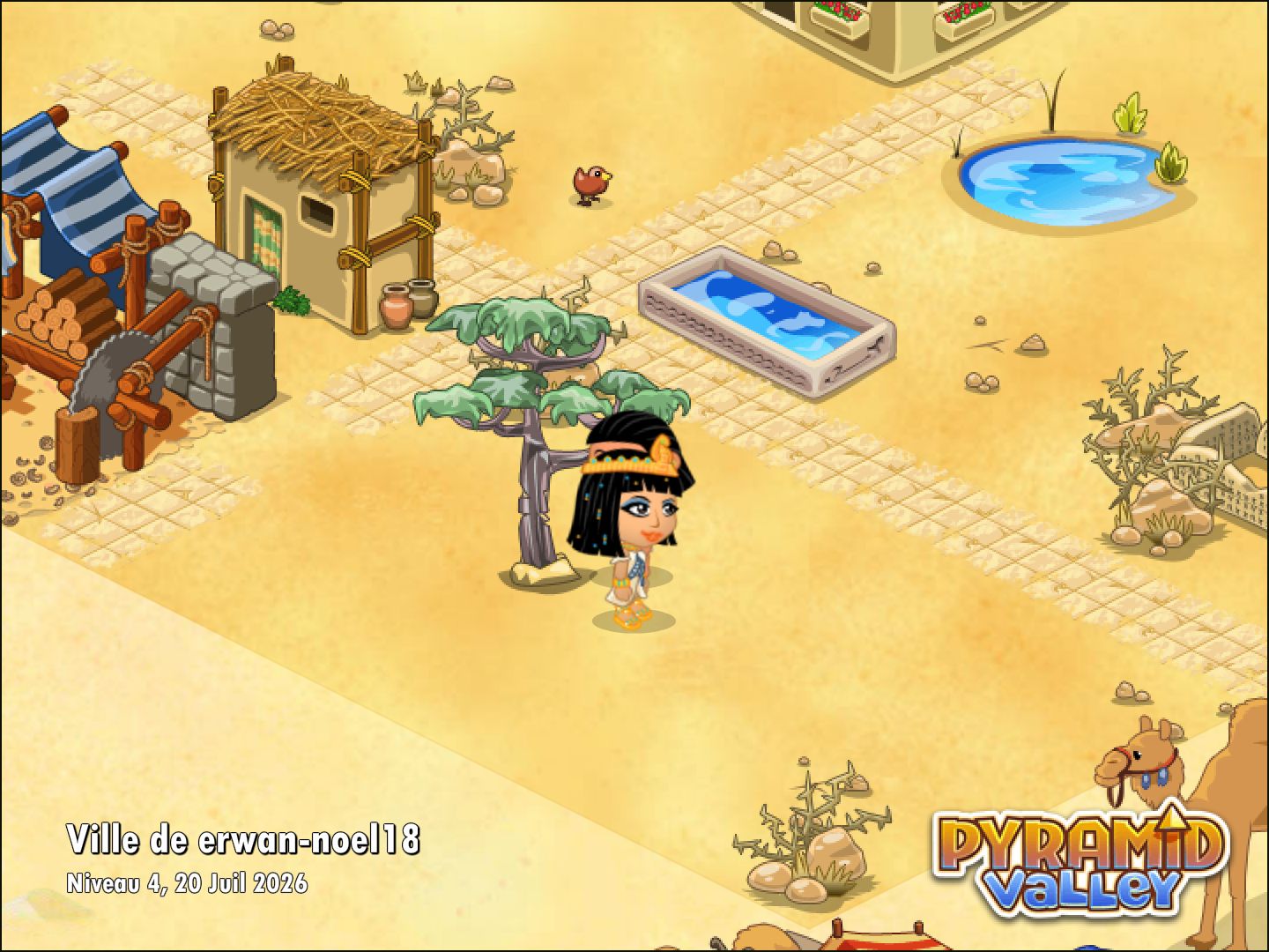 Community screenshot shared by erwan-noel18 on PyramidValley: Reborn